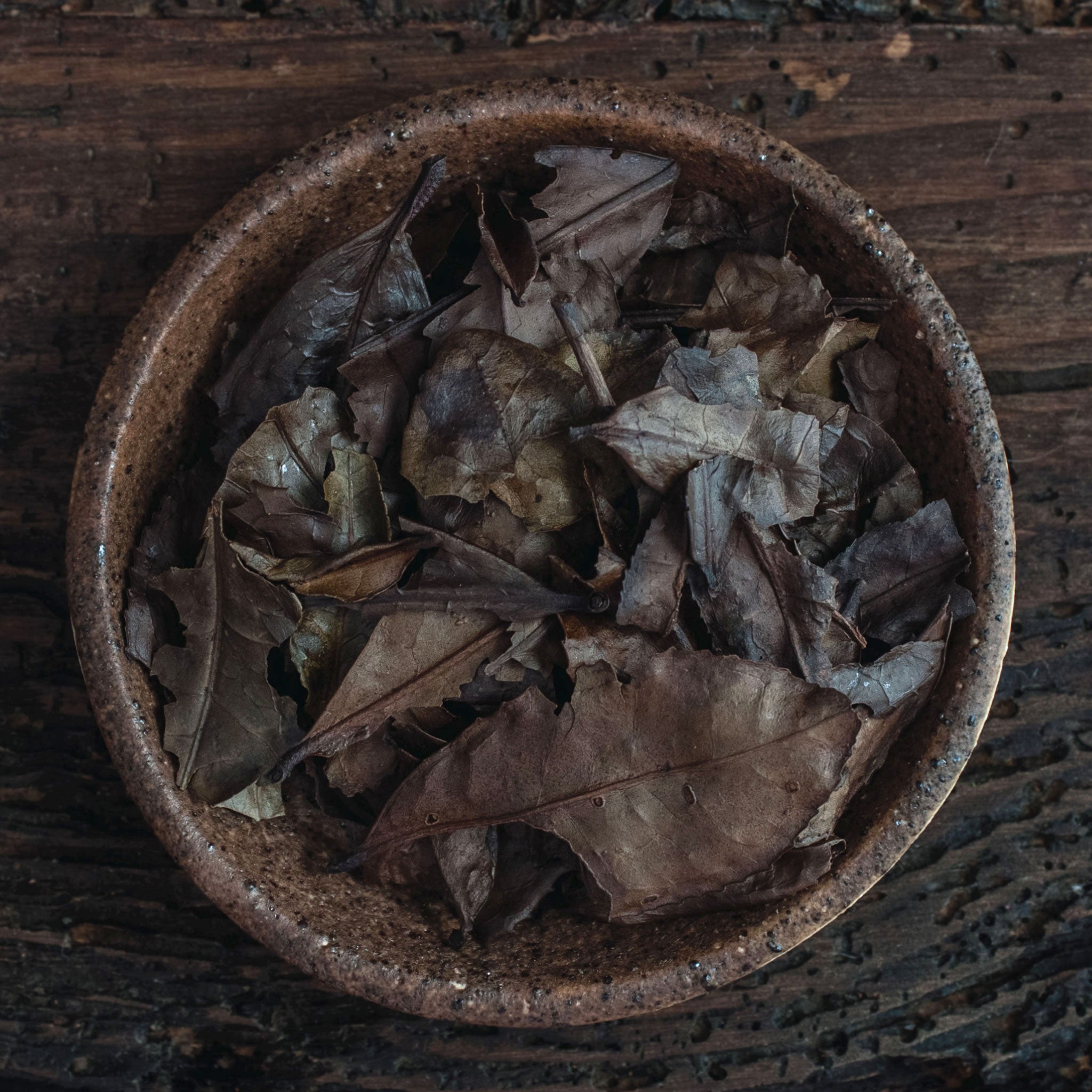 Hojas de té verde Kyobancha